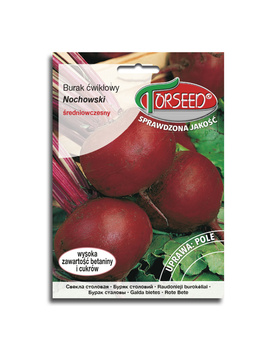 Burak ćwikłowy Nochowski 10g