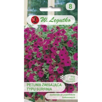 Petunia ogrodowa Rubina F2 o pędach zwisających purpurowo-fioletowa 0.01g