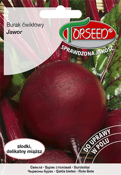 Burak ćwikłowy Jawor 10g