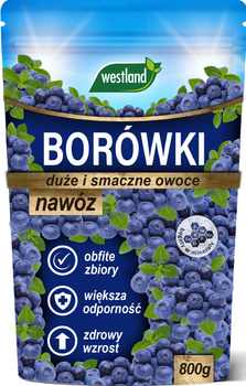 Nawóz do borówek 800g Westland