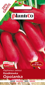 Rzodkiewka Opolanka cylindryczna, czerwono-biała 12g PlantiCo