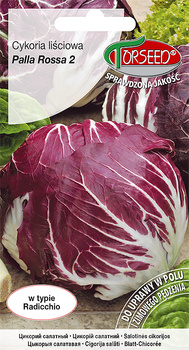 Cykoria sałatowa Radicchio Palla Rossa 2 2g