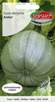 Dynia Ambar 3g Torseed