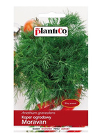 Koper Moravan 5g odrasta wielokrotnie Plantico 