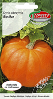 Dynia Big Max 3g Torseed
