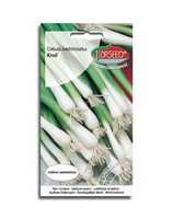 Cebula Siedmiolatka Kroll 0,5g Torseed