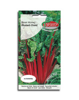 Burak liściowy Rhubarb Chard 10g