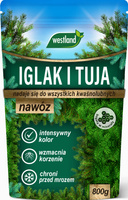 Nawóz do iglaków i tuji 800g Westland 