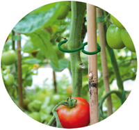 Zapinki do mocowania roślin klipsy 40 sztuk TYK29