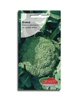 Brokuł włoski Sebastian  2g